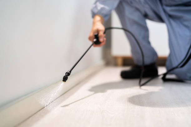 Pest Control Cost in Jasmine Estates, FL