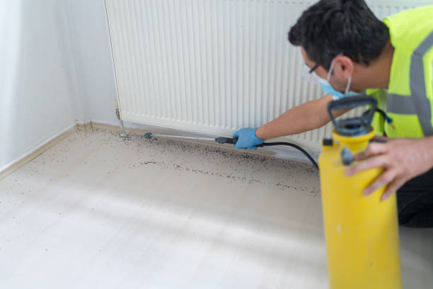 Best Pest Control for Businesses  in Jasmine Estates, FL
