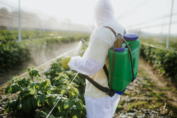 Best Residential Pest Control  in Jasmine Estates, FL